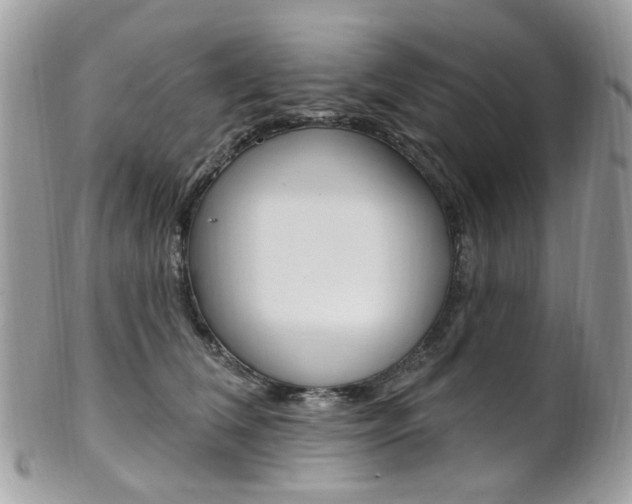 X0000101420612200807071033