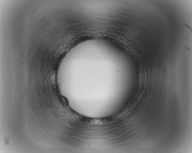 X0000101420613200807071033