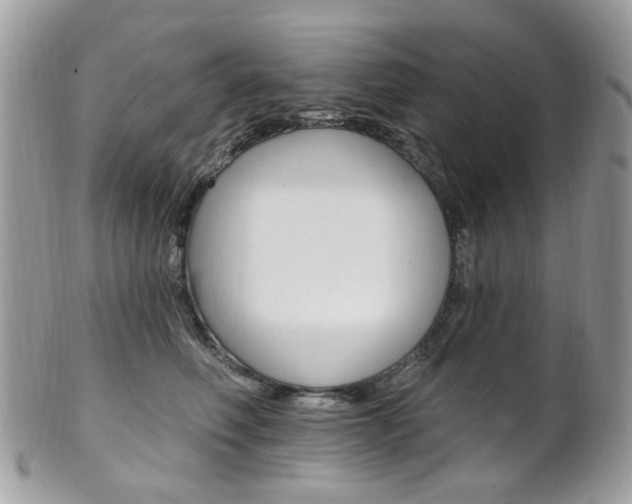 X0000101420614200807071033