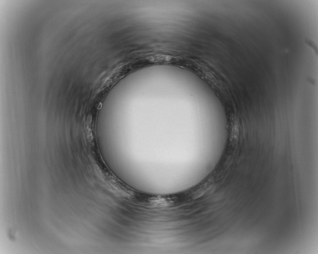 X0000101420616200807071033