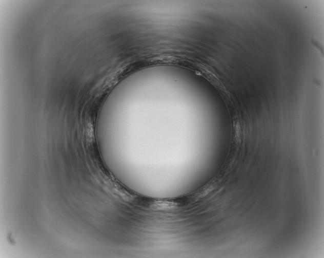 X0000101420617200807071033