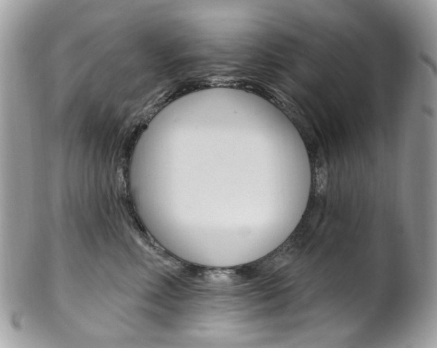 X0000101420618200807071033