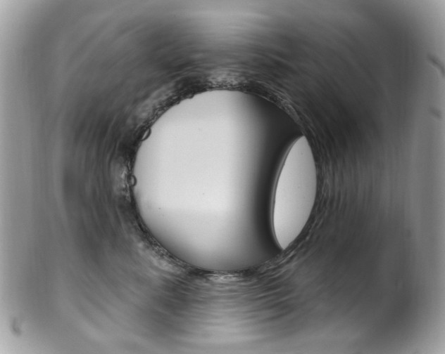 X0000101420619200807071033