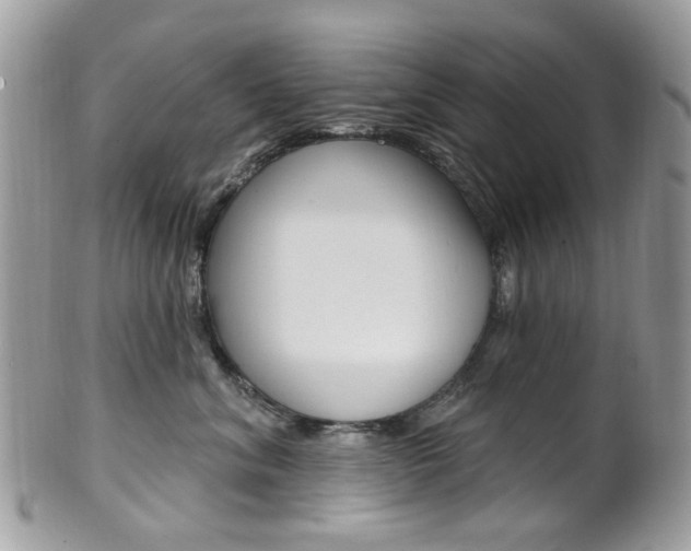 X0000101420620200807071033
