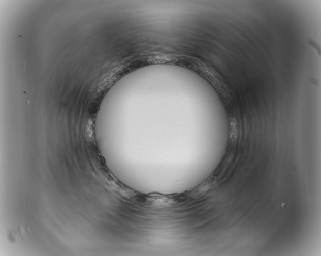 X0000101420621200807071033