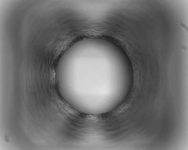 X0000101420624200807071033