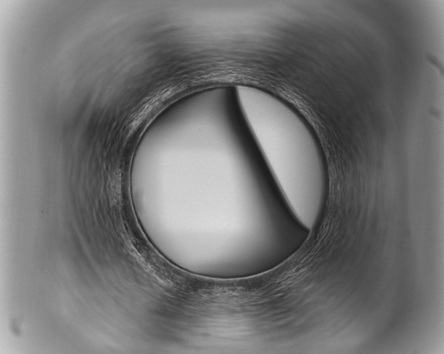 X0000101420626200807071032