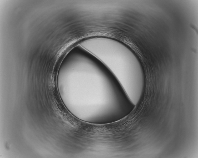 X0000101420628200807071032