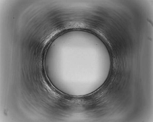 X0000101420629200807071032