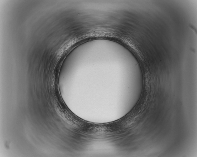 X0000101420631200807071032
