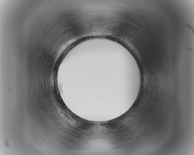 X0000101420632200807071032