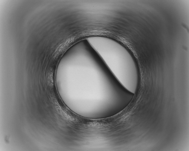 X0000101420633200807071032