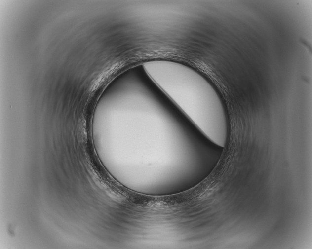 X0000101420634200807071032