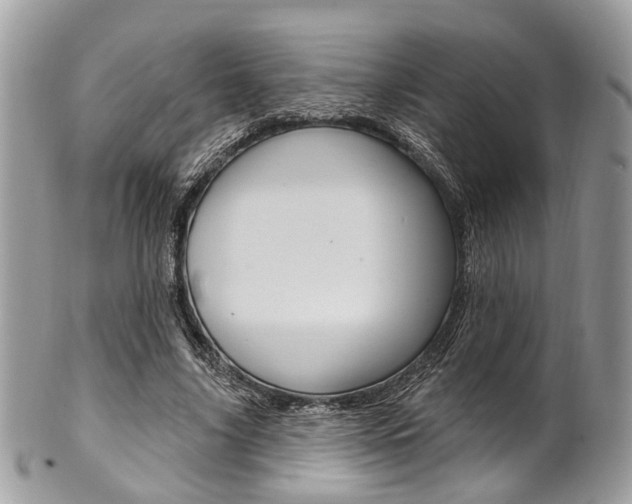 X0000101420635200807071032