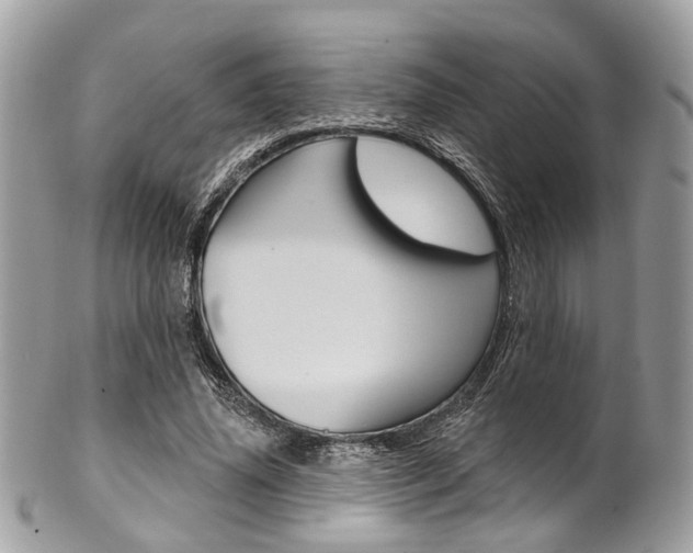 X0000101420636200807071032