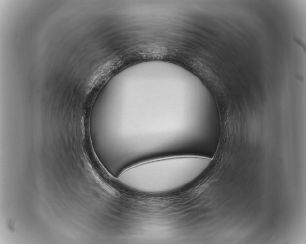 X0000101420638200807071032