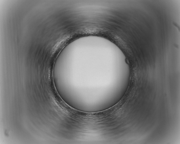 X0000101420640200807071032