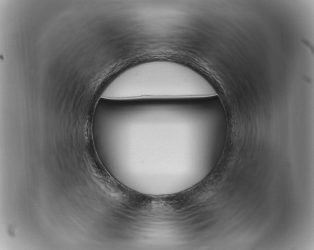 X0000101420641200807071032