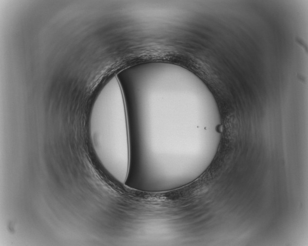 X0000101420642200807071032