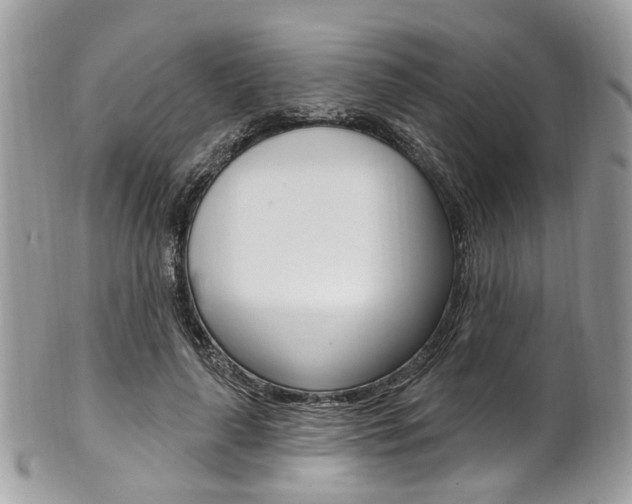 X0000101420643200807071032