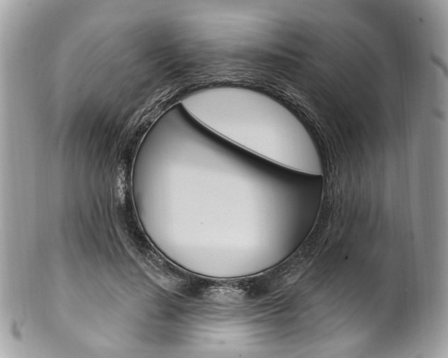 X0000101420644200807071032