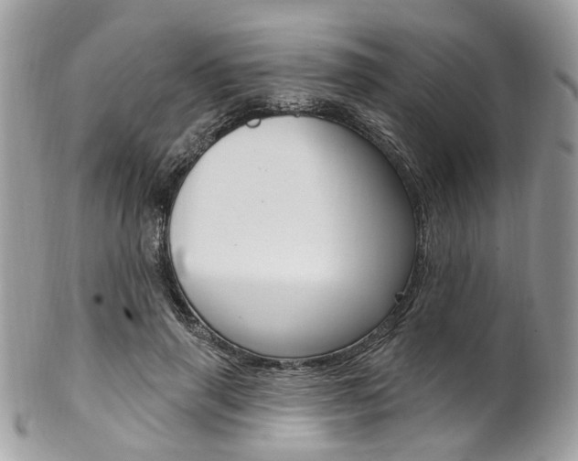 X0000101420645200807071032