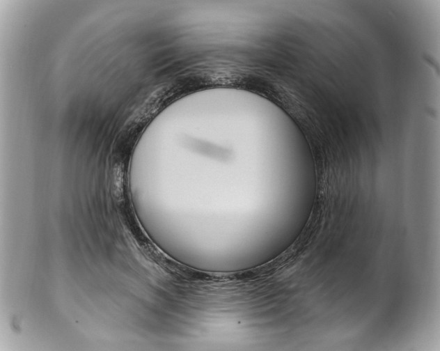 X0000101420646200807071032