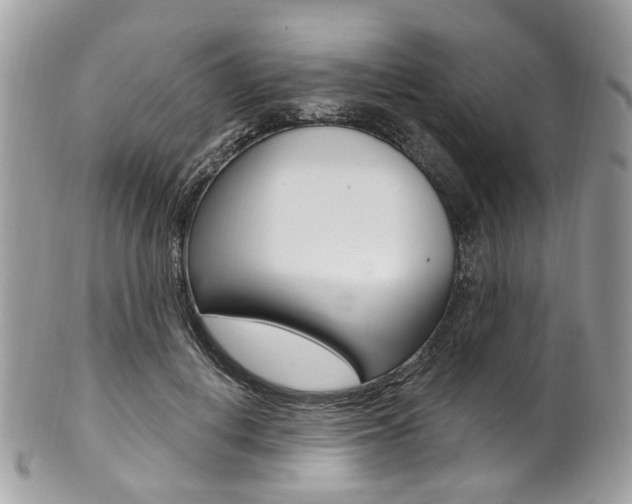 X0000101420648200807071032