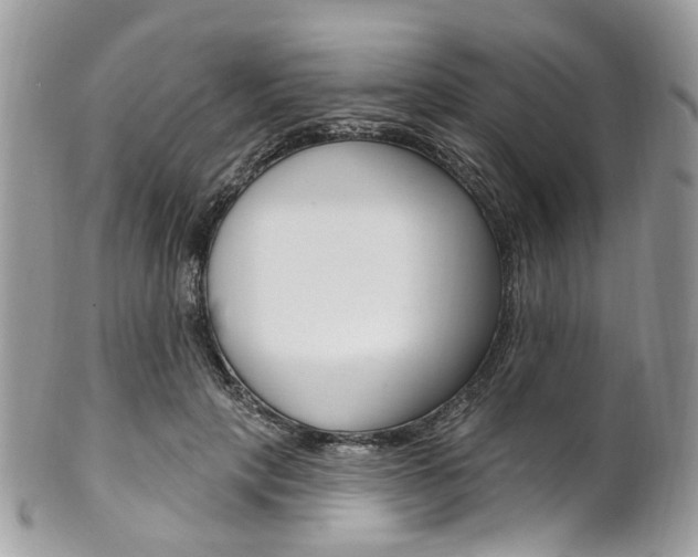 X0000101420649200807071032
