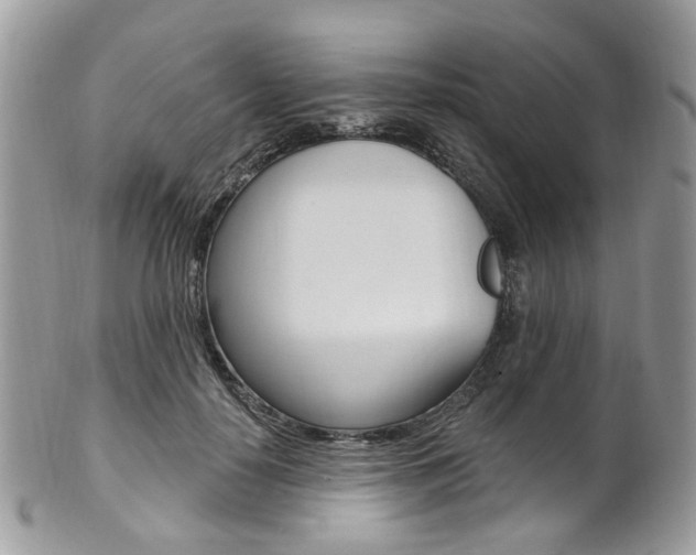 X0000101420650200807071032