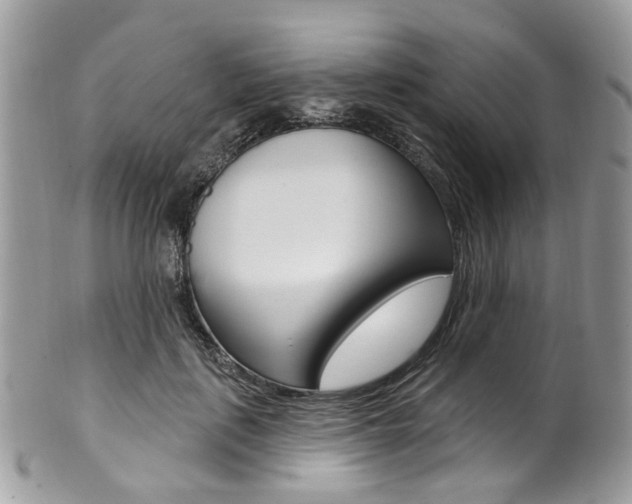 X0000101420651200807071032