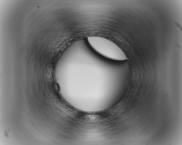 X0000101420654200807071032