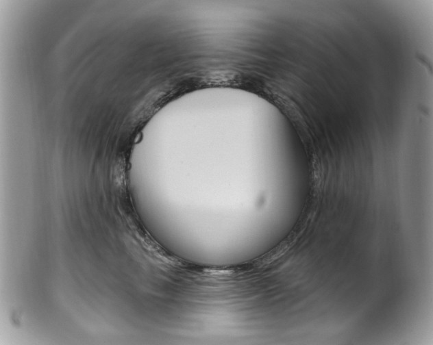 X0000101420665200807071032