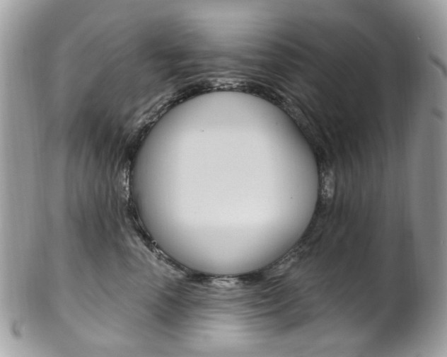 X0000101420666200807071032
