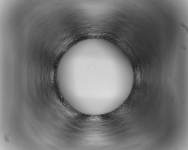 X0000101420668200807071032