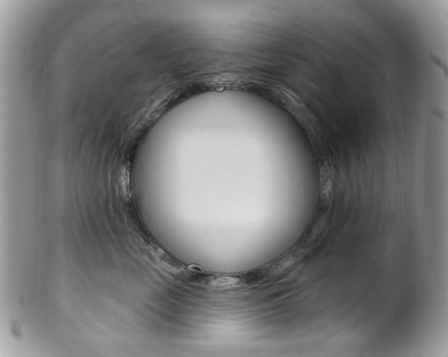 X0000101420669200807071032