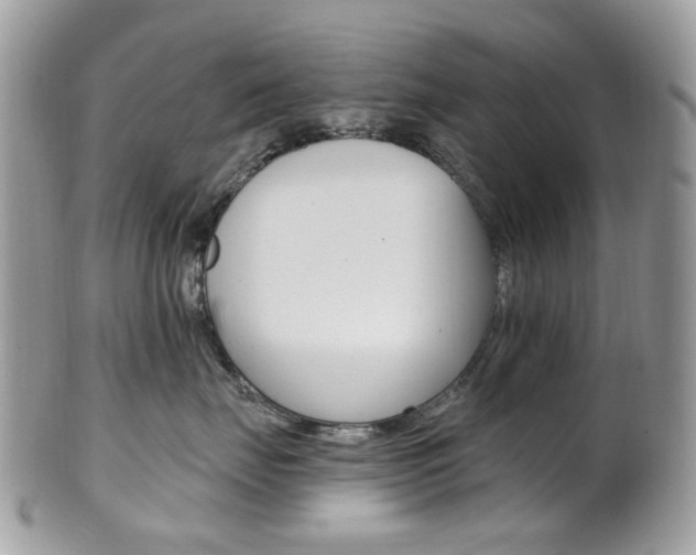 X0000101420671200807071033