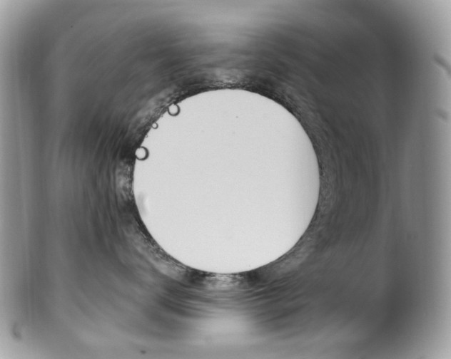 X0000101420672200807071033
