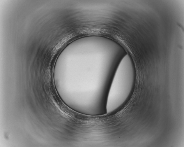 X0000101420674200807071032