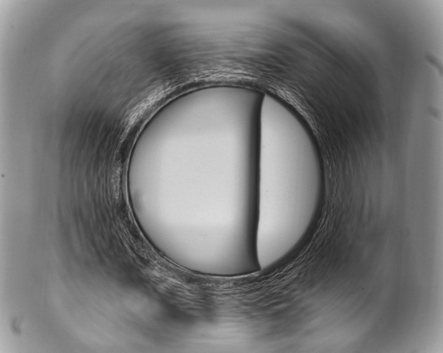 X0000101420675200807071032