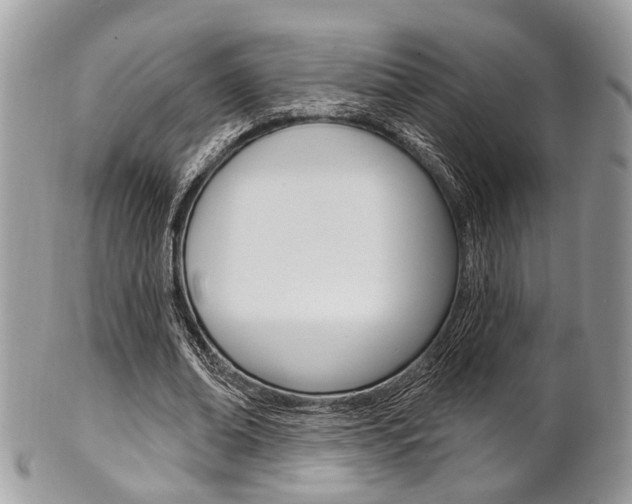 X0000101420678200807071032