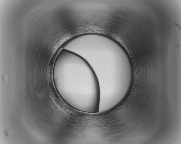 X0000101420679200807071032