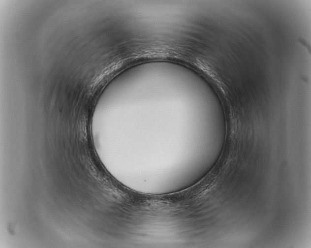 X0000101420681200807071032