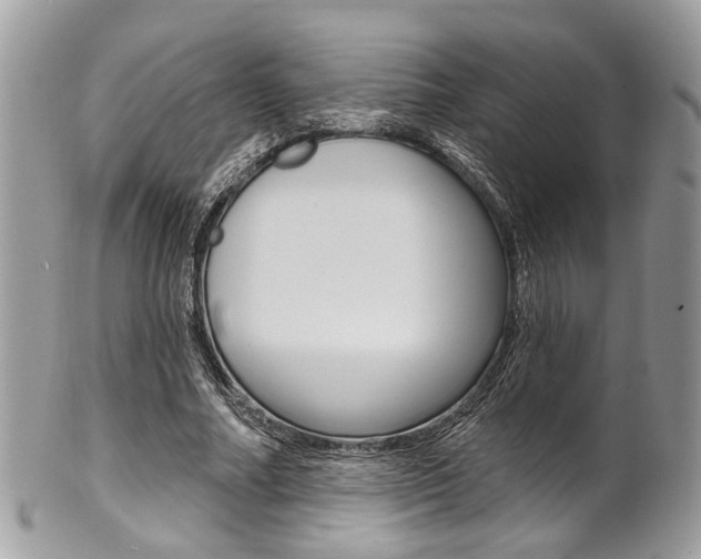 X0000101420682200807071032