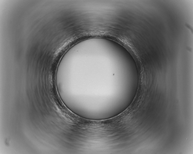 X0000101420684200807071032