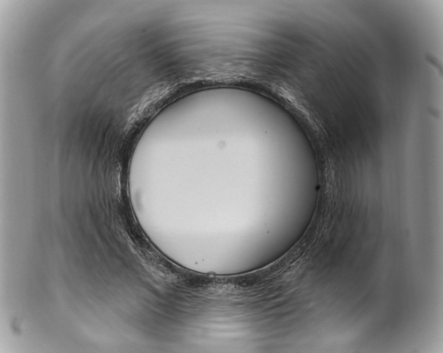 X0000101420685200807071032