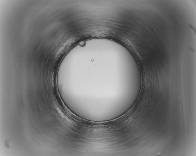 X0000101420686200807071032