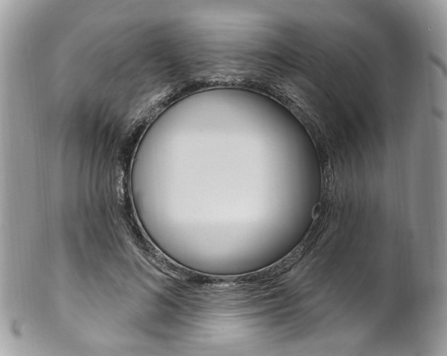 X0000101420692200807071032