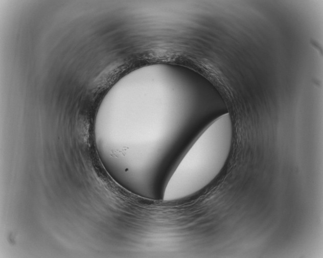 X0000101420693200807071032