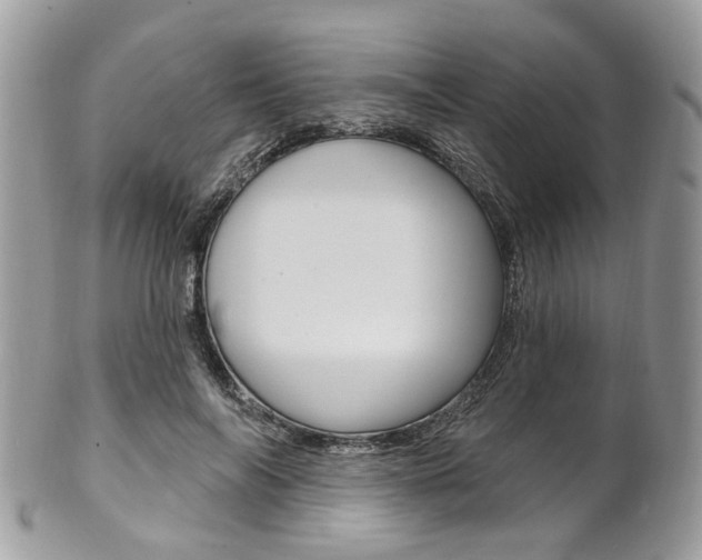 X0000101420694200807071032